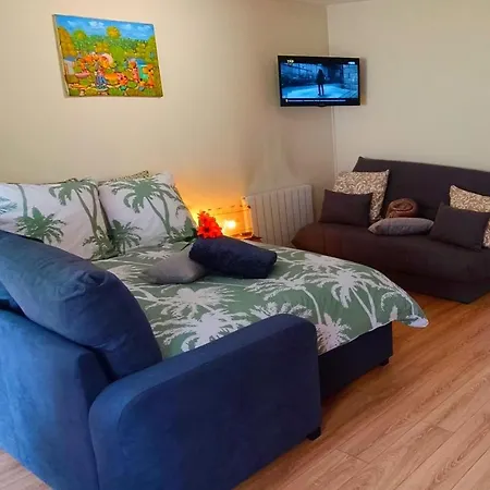 Apartamento Avec Jardin - Centre-ville à 10 Minutes à Pied