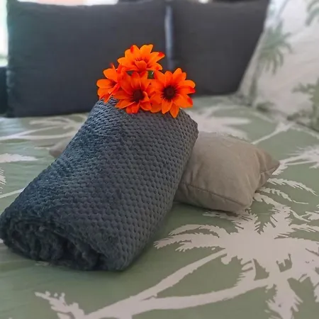 Apartamento Avec Jardin - Centre-ville à 10 Minutes à Pied *