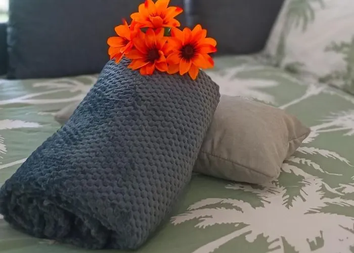 Daire Avec Jardin - Centre-ville A 10 Minutes A Pied *