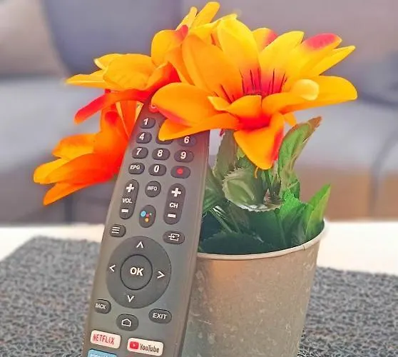 Daire Avec Jardin - Centre-ville A 10 Minutes A Pied *