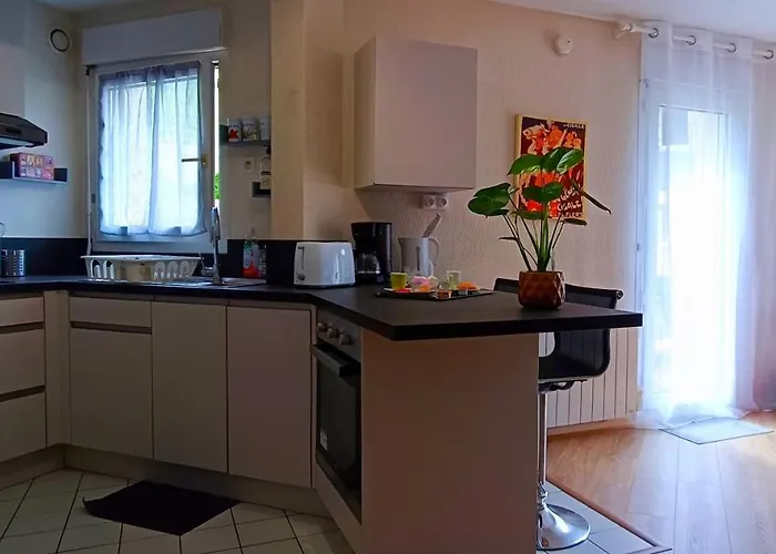 Avec Jardin - Centre-ville A 10 Minutes A Pied